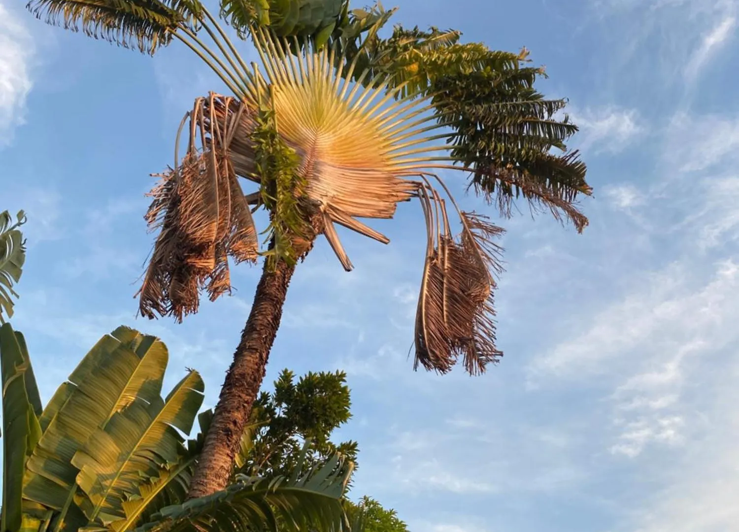 Ocean Breeze Retreat Villa Whitehouse
